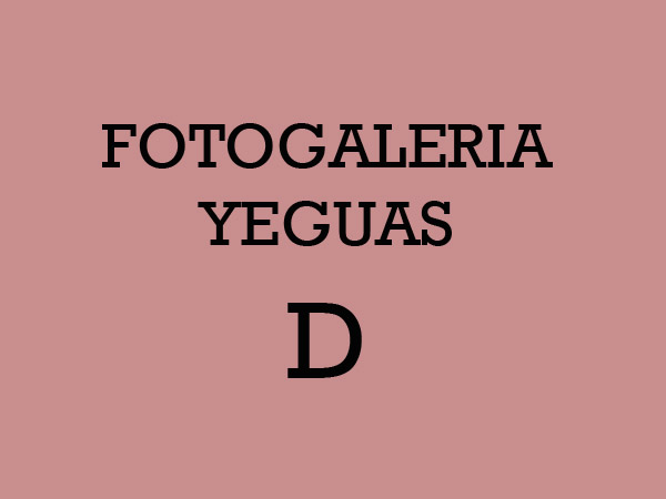 Yeguas Criollas D